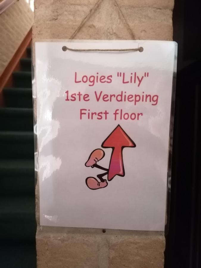 Logies Lily Apartment Oudenburg Exterior photo